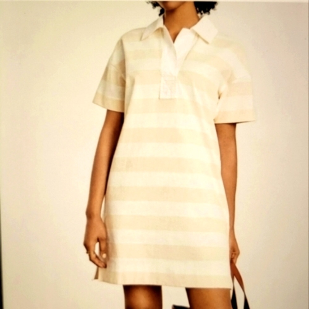 Everlane Light Tan Striped Shift Polo Short sleeve Dress
